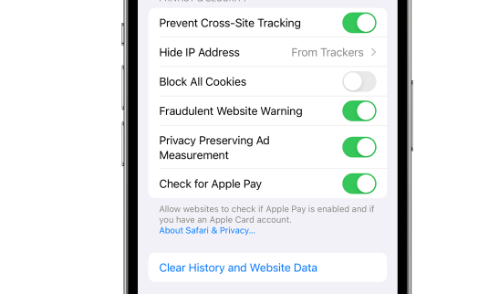 How To Delete Search History On iPhone